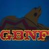 anthonygiuli501